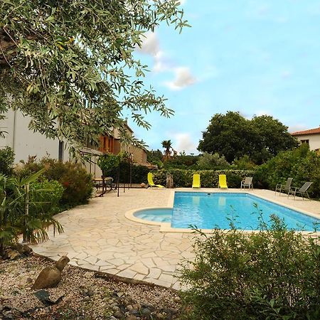 L'Escalivade Bed & Breakfast Céret Dış mekan fotoğraf